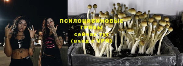 винт Магадан