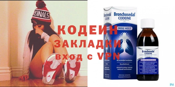 дживик Тында