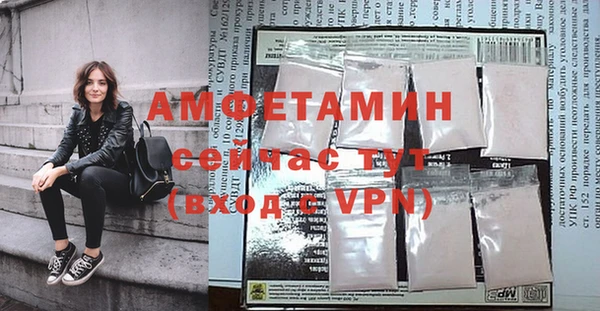 мдпв Туринск