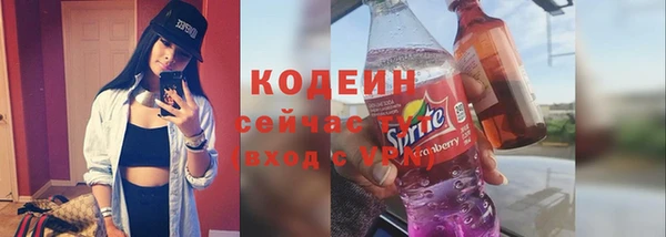 мдпв Туринск