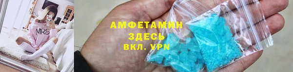 мдпв Туринск