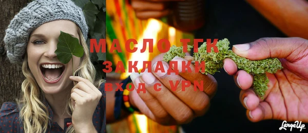 дживик Тында