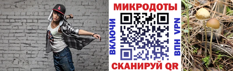 hydra ссылка  Елизаветинская  Псилоцибиновые грибы Psilocybe 